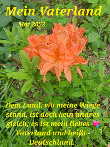 Datei:20220521 145224.jpg