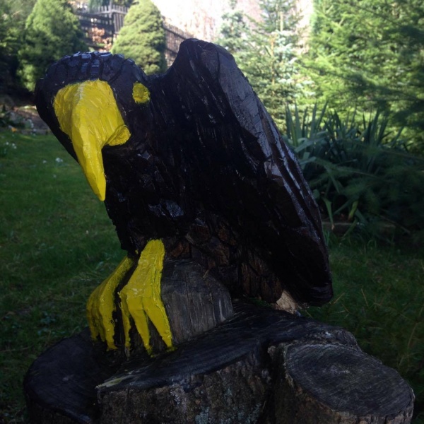 Datei:13224260 782953525168418 1169323892 o.jpg