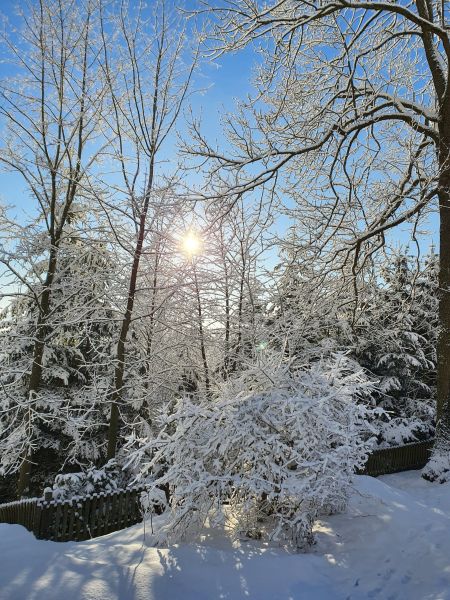 Datei:20220212 085210.jpg