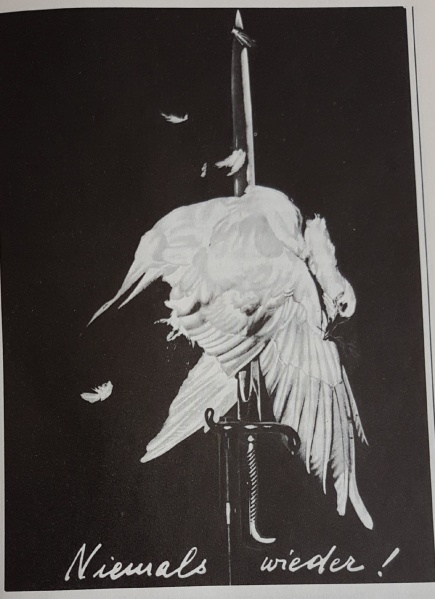 Datei:Niemals wieder! Geschichte und HEUTE.jpg