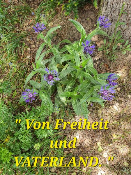 Datei:20220523 110259.jpg