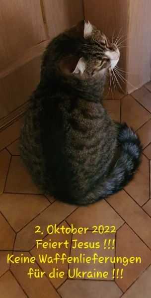 Datei:20221002 072808.jpg