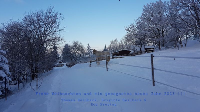 Datei:20221106 112950.jpg