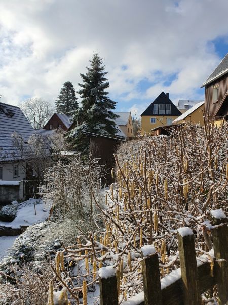 Datei:20210305 100111.jpg