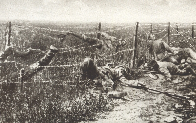 Datei:Stellungskrieg und Stacheldraht 2.jpg