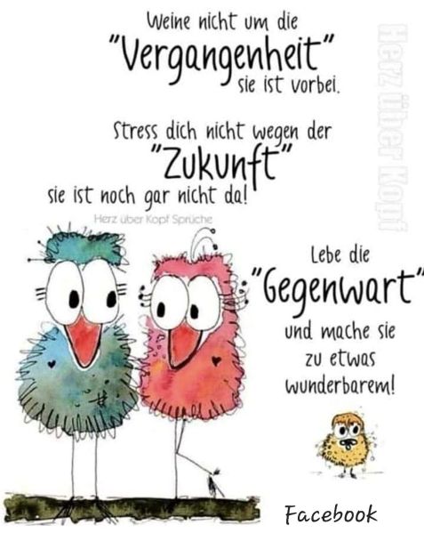 Datei:Screenshot 20221223 190022 Facebook.jpg