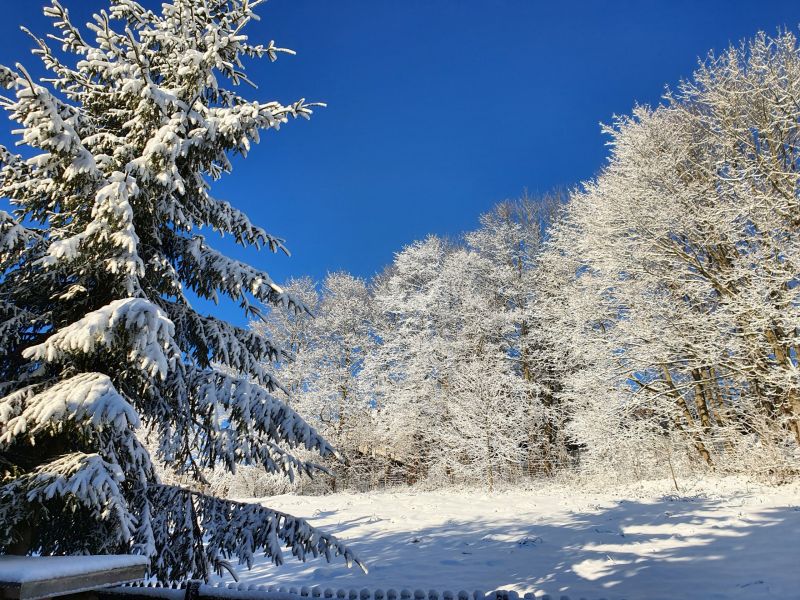 Datei:20220212 084338.jpg