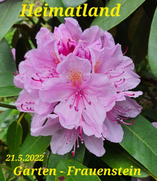 Datei:20220521 145153.jpg