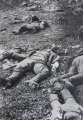 Kessel 1941 - Sowjetische Soldaten gefallen.jpg