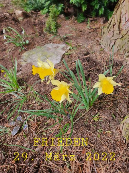 Datei:20220329 101636.jpg