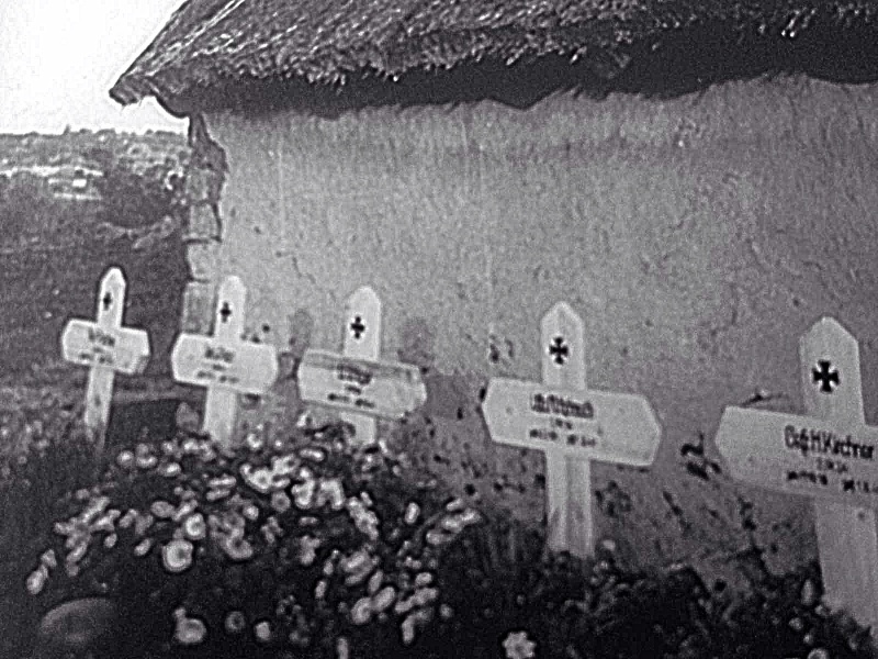 Datei:IMG-20160724-WA0006 shp.jpg