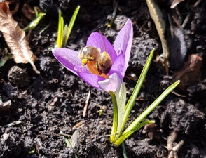 20180313 104733 cc.jpg