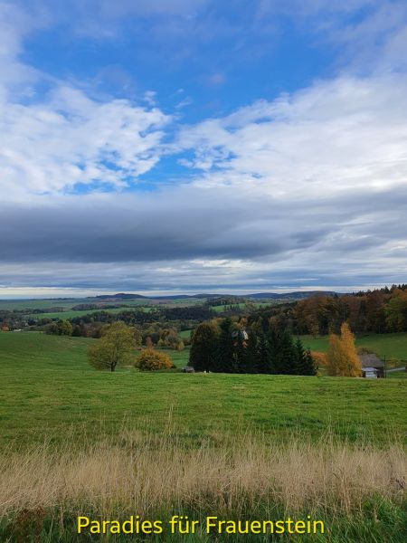 Datei:20221016 094911.jpg