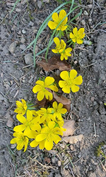 Datei:20220323 143418.jpg