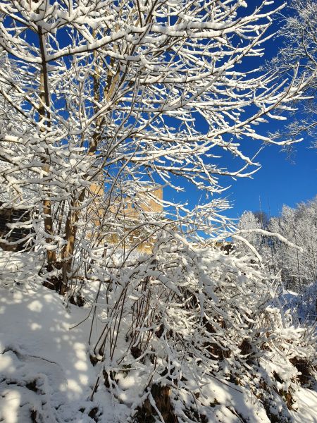 Datei:20220212 084658.jpg