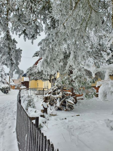 Datei:20230128 124804.jpg