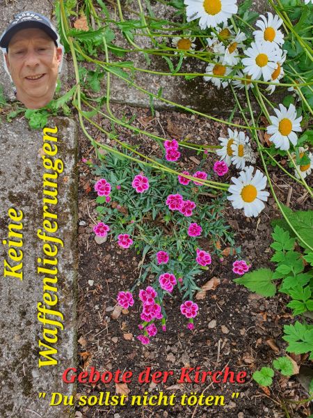 Datei:20220626 132331.jpg