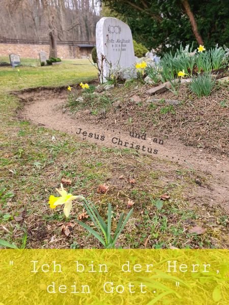 Datei:20220329 102025.jpg