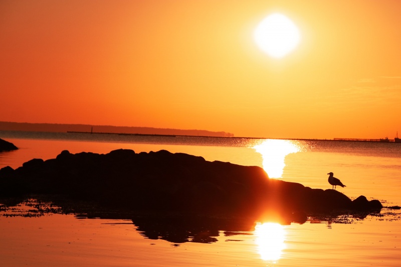 Datei:LRM EXPORT 20180803 102545.jpg