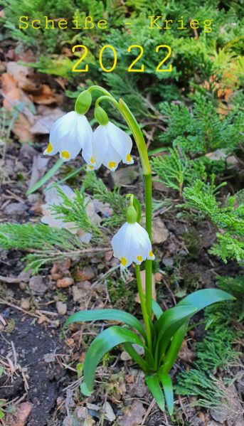 Datei:20220327 112835.jpg