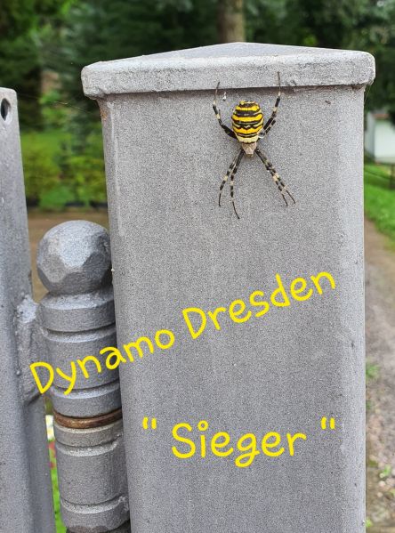 Datei:20210919 094333.jpg