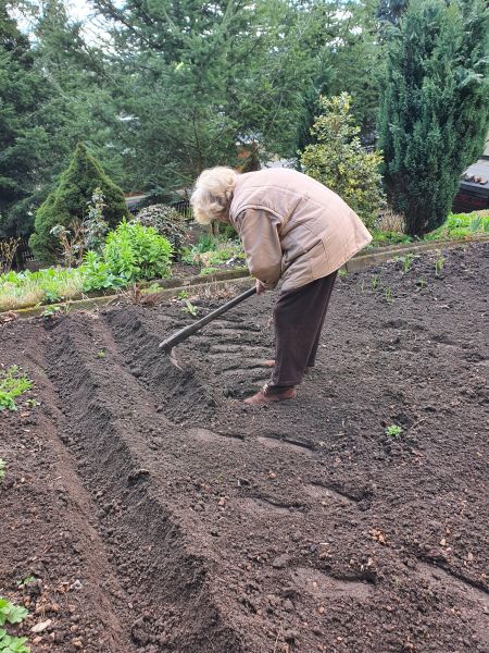 Datei:20220426 100633.jpg