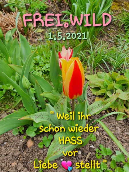 Datei:20210501 111144.jpg