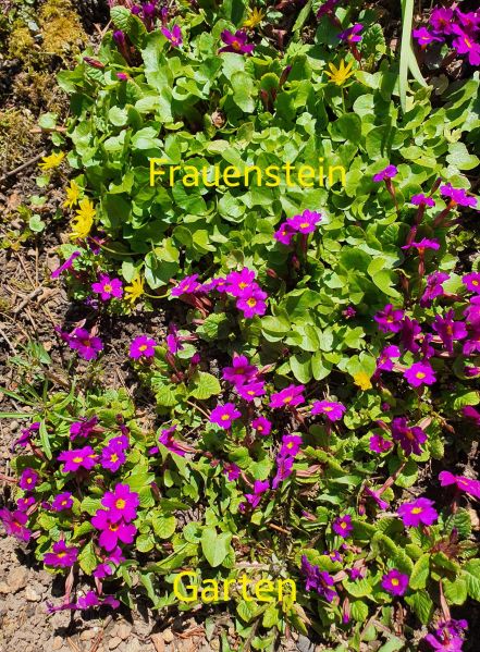 Datei:20220423 143558.jpg