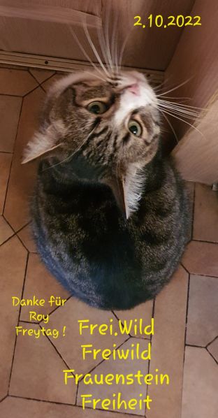 Datei:20221002 072905.jpg