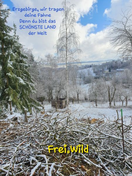 Datei:20210305 100921.jpg