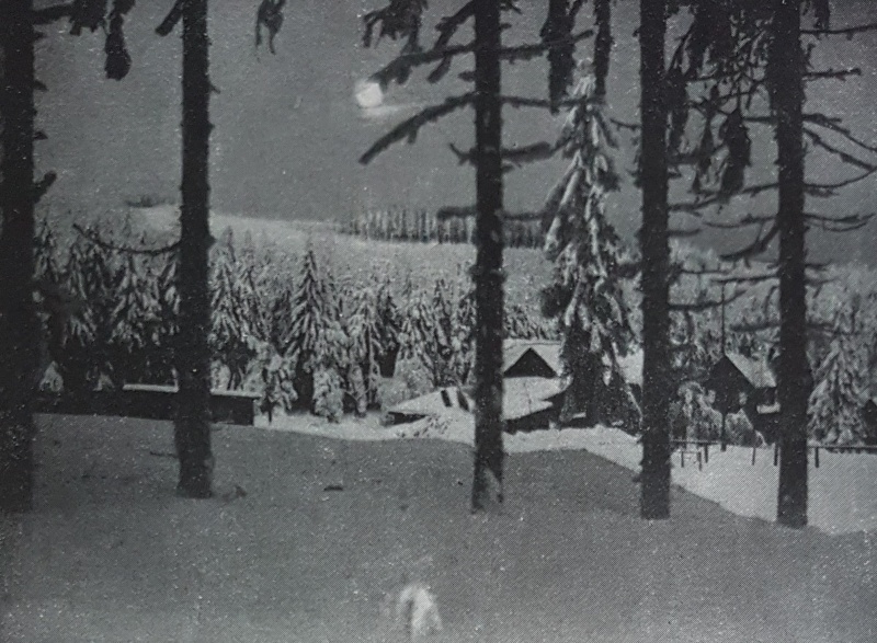 Datei:20181104 114302.jpg