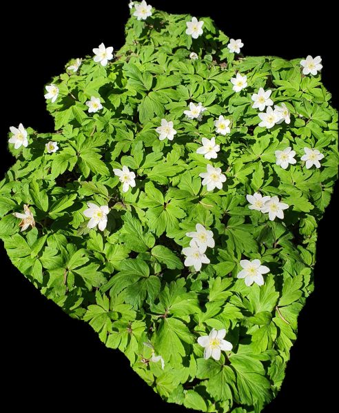 Datei:20220423 144050.jpg