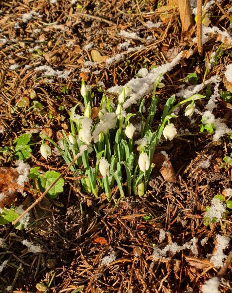 Datei:20220212 084125.jpg