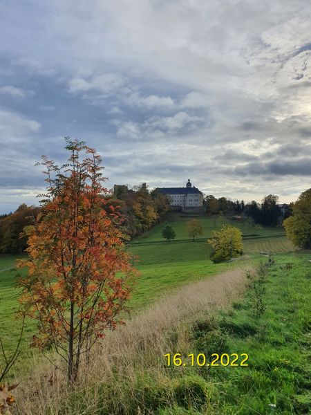 Datei:20221016 094631.jpg