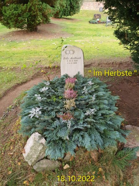 Datei:20221018 094446.jpg